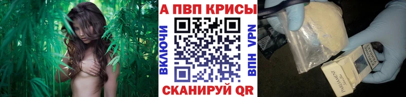 Купить  Ясный  Альфа ПВП мука 