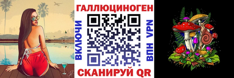 Купить где  Ясный  Псилоцибиновые грибы MAGIC MUSHROOMS 